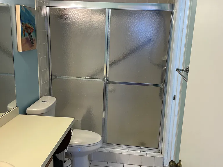 MASTER BATHROOM FEATURES A STEP-IN SHOWER WITH SAFETY BARS