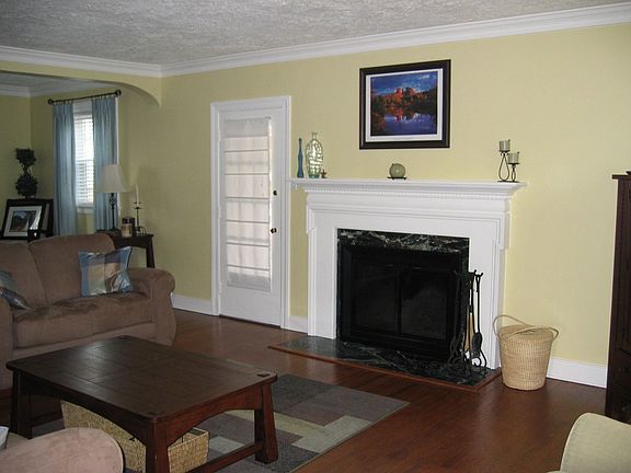Living Room Fireplace