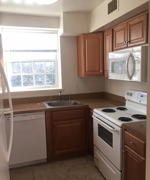 3861 Newark St NW #D466 — Photo 4