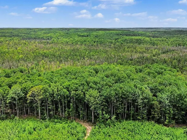 V/l Third Rd, Kalkaska, MI 49646