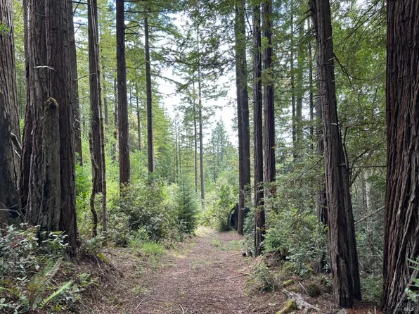 4700 Cameron Road, Elk, CA 95432