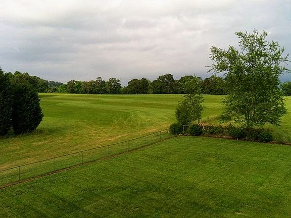 Backyard view- left side of house