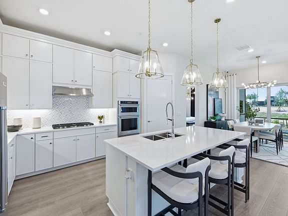 Luxurious Kitchen