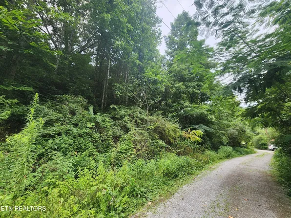 Walter Roberts Dr, Pennington Gap, VA 24277