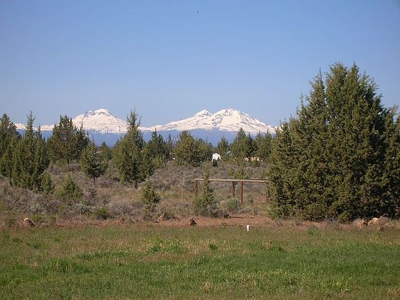 View from back