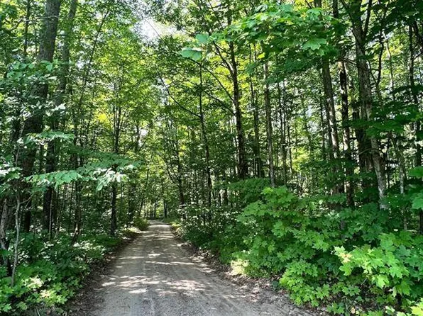 11372 Partridge Ln NE, Mancelona, MI 49659
