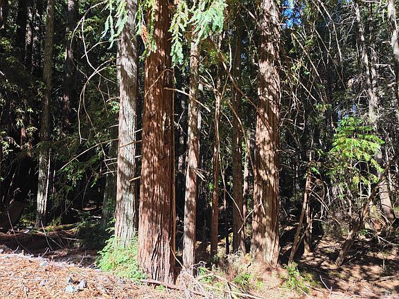 4th image of 16100 Mariposa Creek Road