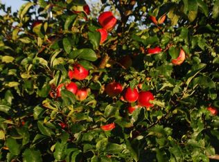 15621 Star Lake Rd, Mountain, WI 54149