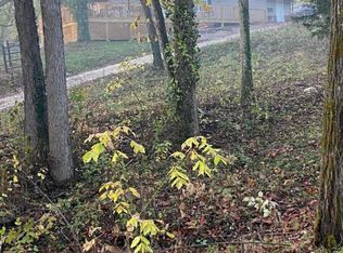 1326 Olga Rd, Fordland, MO 65652