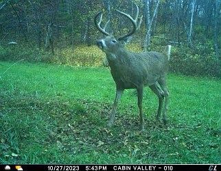4th image of 0 County Road T