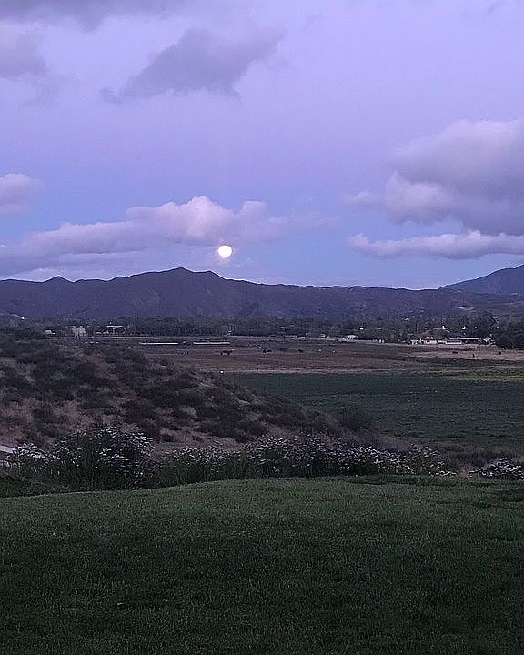 1st image of 33625 Orlinda Dr