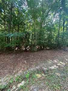 0 Greenbriar Loop, Andalusia, AL, 36421