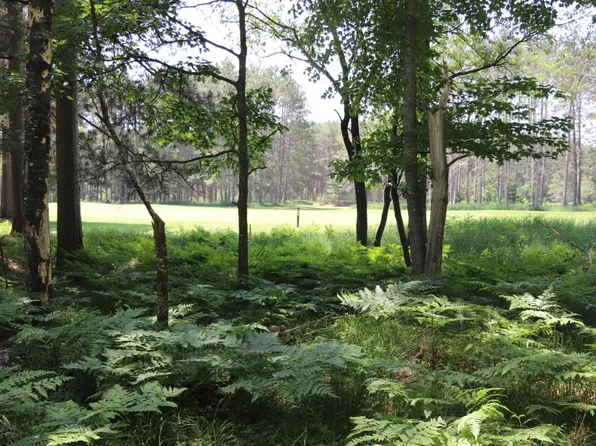LOT 185 Timber Ln, Minocqua, WI 54548