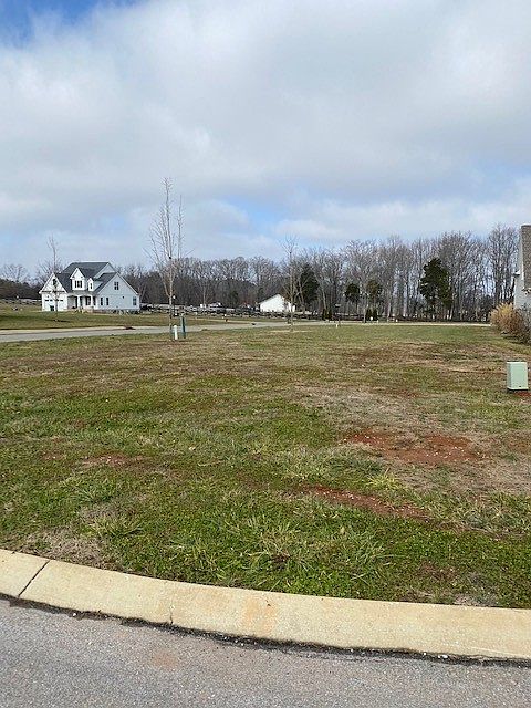 2nd image of 0 Flip Flop Ct Lot 91