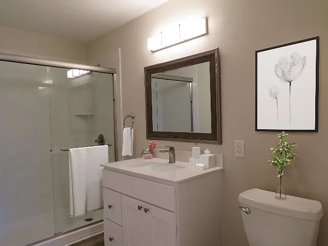 1 Bed 1 Bath
