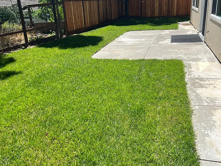 2454 Whispering Oaks Dr — Photo 18
