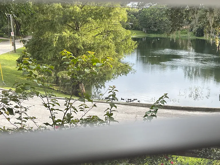 Lake view from Primary Bedroom window