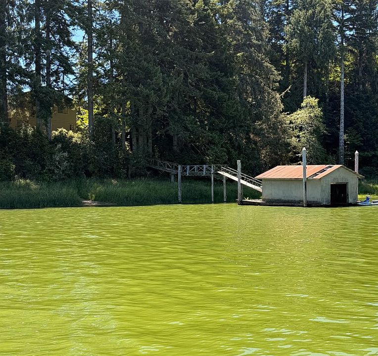 1st image of 3473 S Tenmile Lk