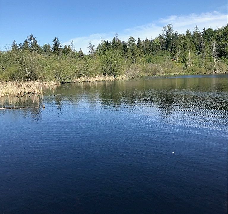 1st image of 173 E Lake Desire Dr SE