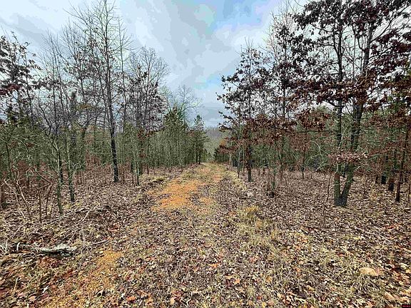 5th image of 001-05451-000 Tomahawk Slab Rd