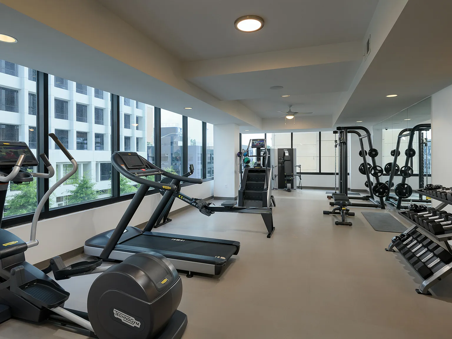 Lilli Midtown — Photo 3