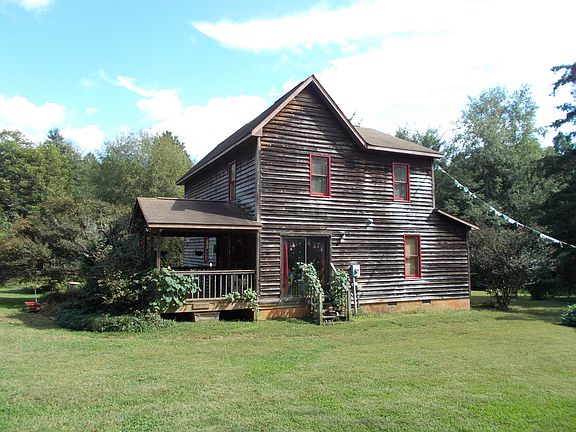 bright and open backyard