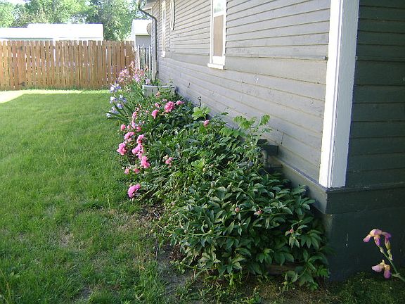 3rd image of 220 E 27th St