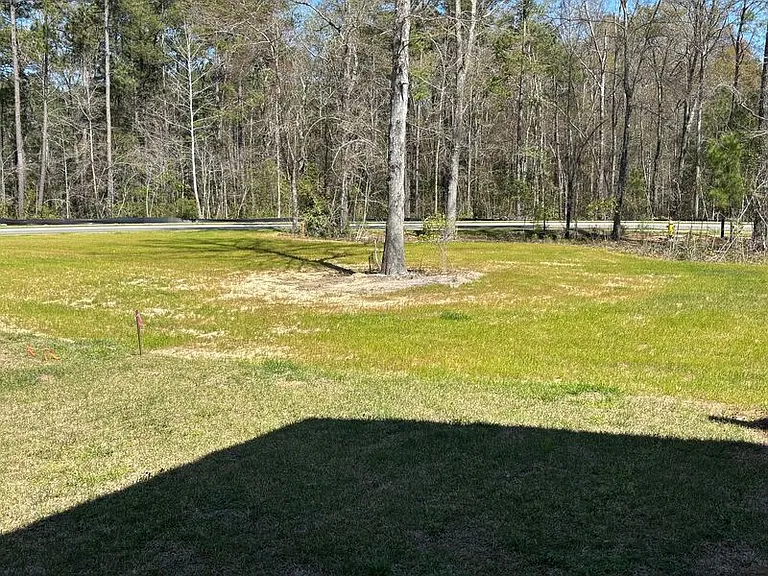 462 Green Fern Dr — Photo 16