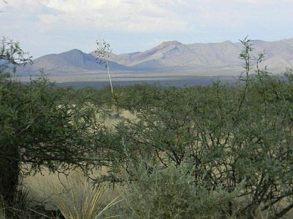 2nd image of 0 E Coyote Trl #10431027E4