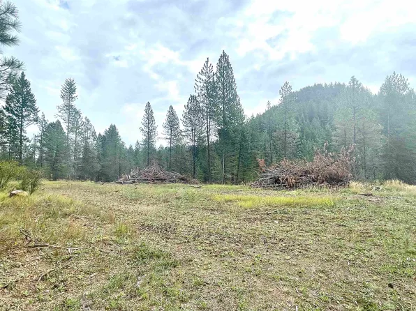3756 N Deer Lake Rd #D, Loon Lake, WA 99148