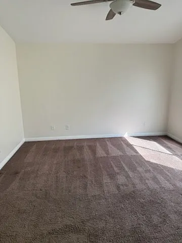 3508 Glorious Iris Pl — Photo 6