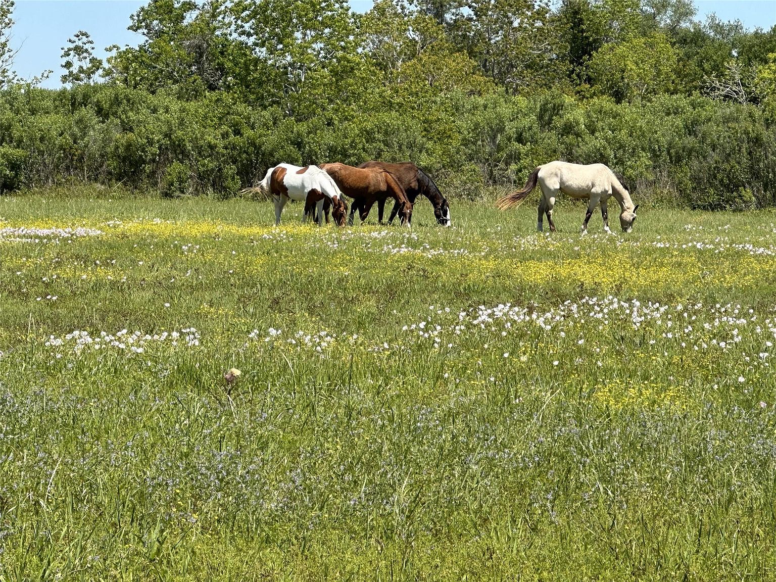 0 Danek Rd LOT 7, Crosby, TX 77532 | MLS #25940442 | Zillow