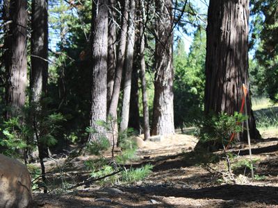 619 W Burnt Cedar Rd, Westwood, CA, 96137