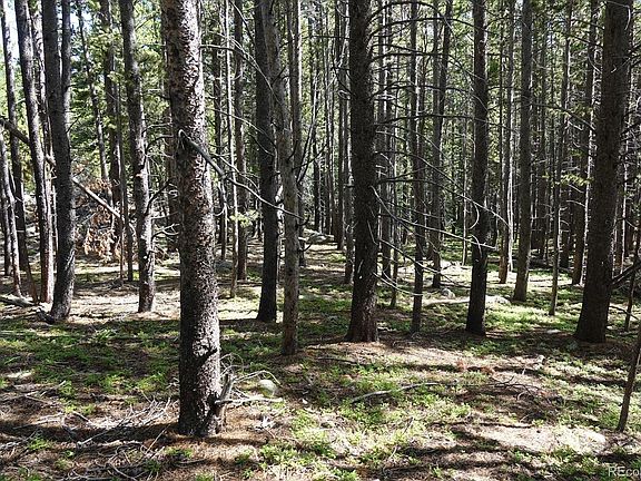 2nd image of 00 Upper Forest Rd