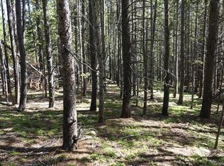 00 Upper Forest Rd, Idaho Springs, CO 80452