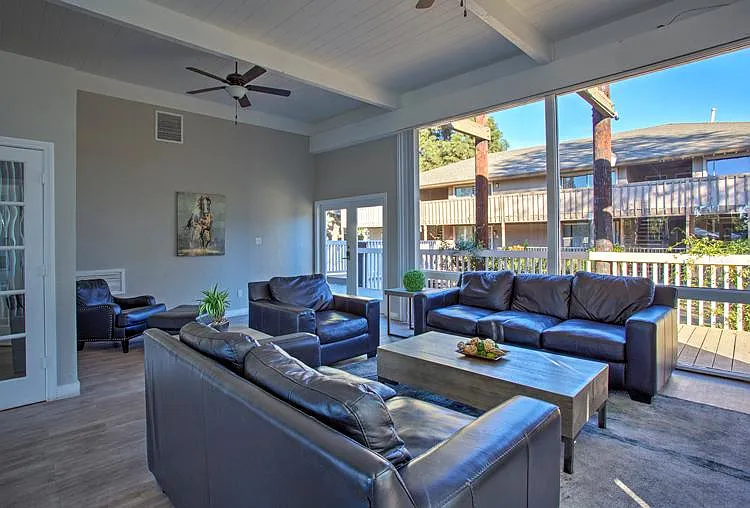 Pine Lake Apartments — Photo 8