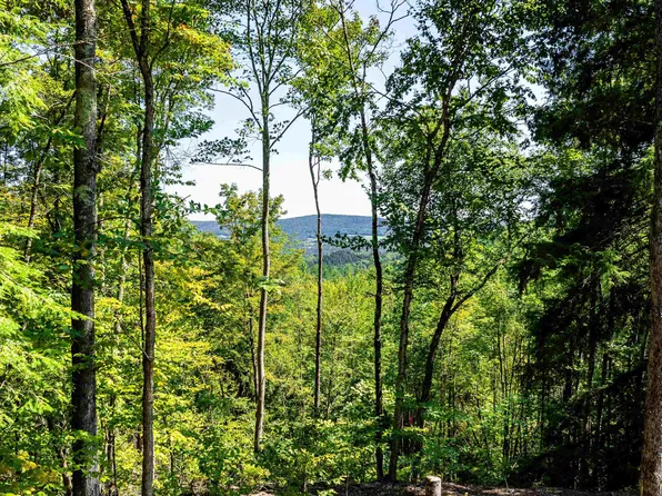 00 Arbor Lane Lot #10, Duxbury, VT 05676