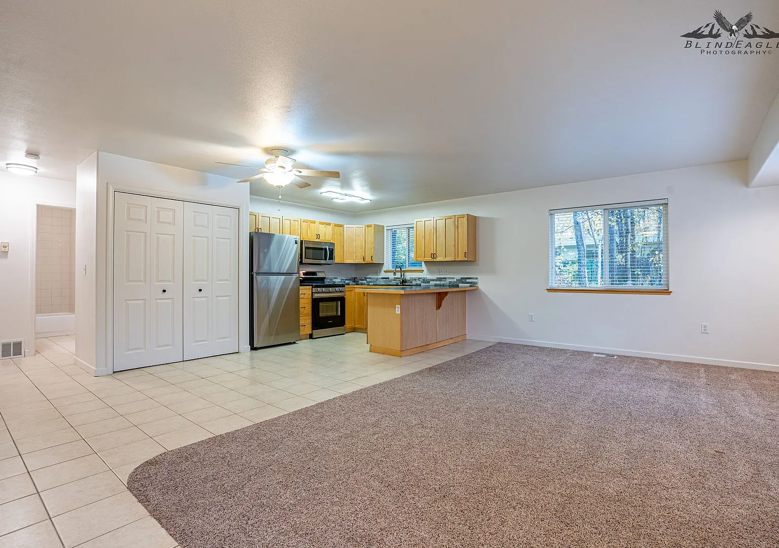 1290 N. Hoka Hay Circle, Wasilla, AK 99654 — Photo 4