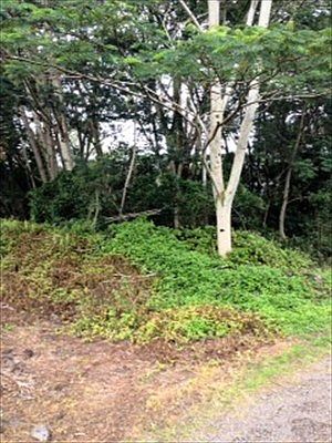 2nd image of 16th Ave Lot 285