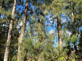 Pikake St, Mountain View, HI 96771