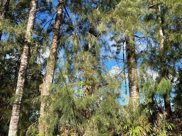 Pikake St Lot 7722, Mountain View, HI 96771