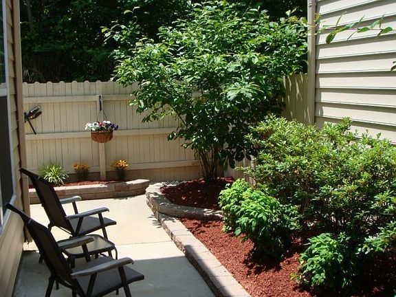 Back Yard 3