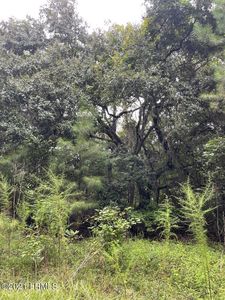 0 Tillman Rd, Ridgeland, SC, 29936