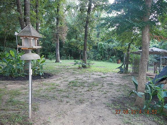 ONE OF THE MANY OF THE BACK YARD