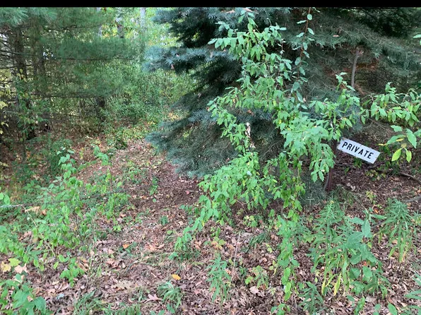 E Rossel Lake Rd, Walkerville, MI 49459