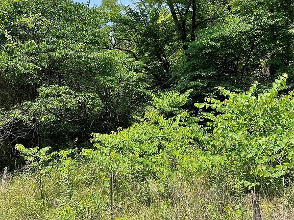 2nd image of 0 Bucholz Hollow Rd