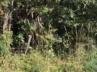 202 Old Lindsey Bridge Rd, Vonore, TN 37885