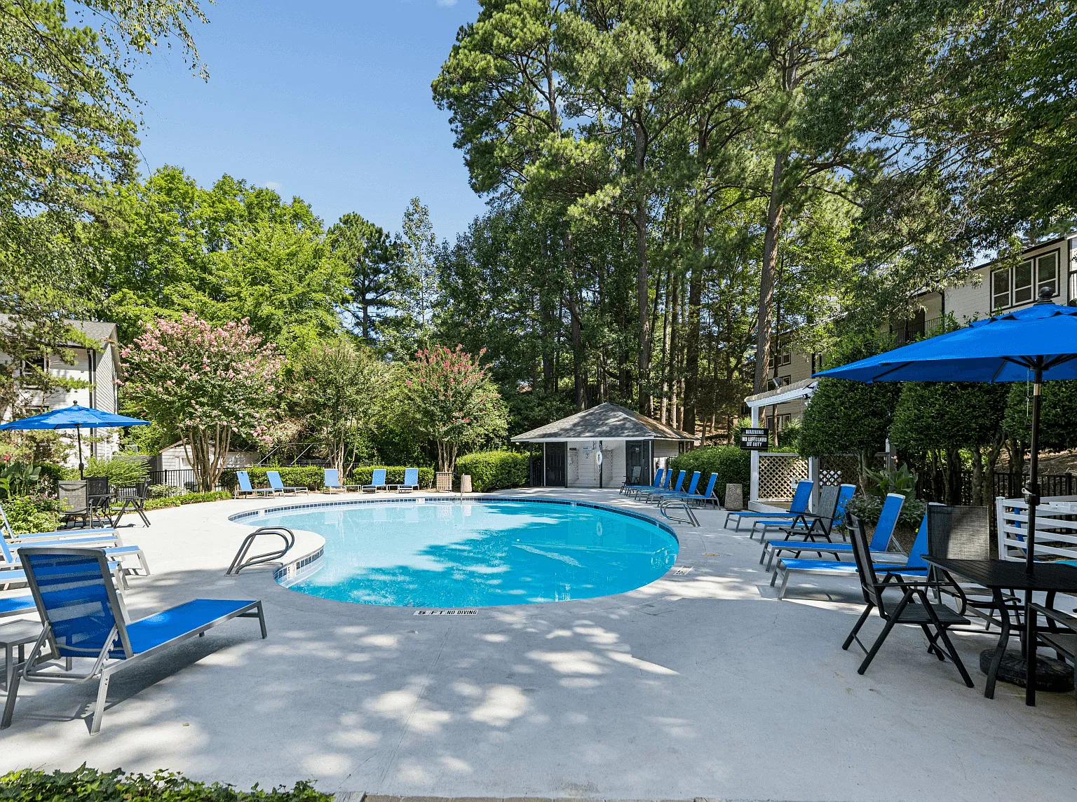 Laurel Springs — Photo 4