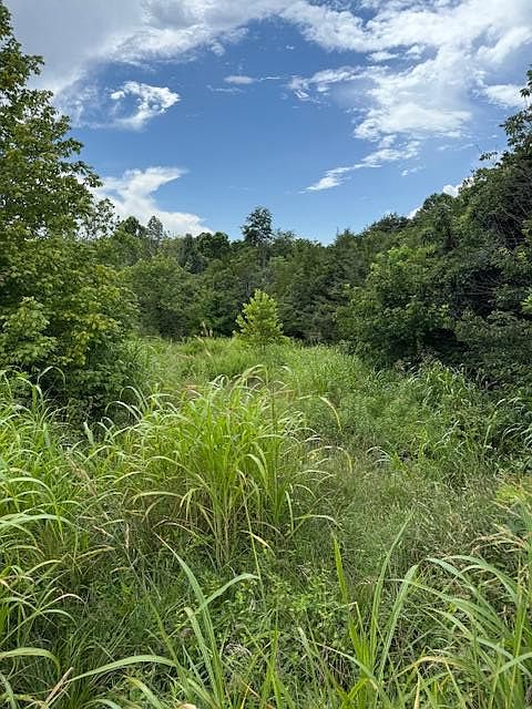 1st image of 0 Moneta Rd