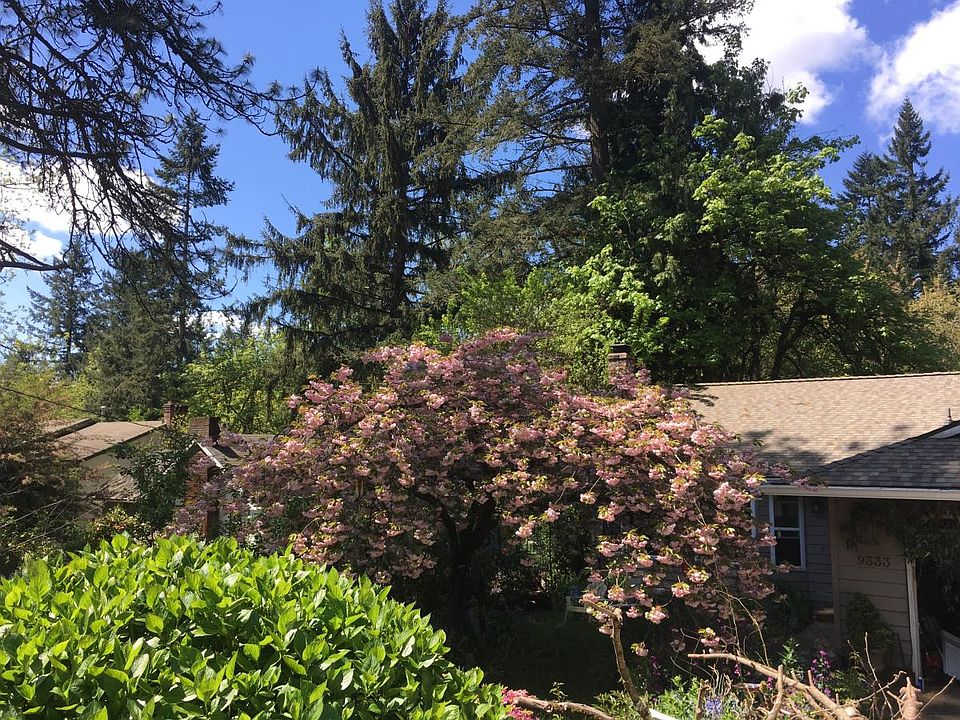 Front yard